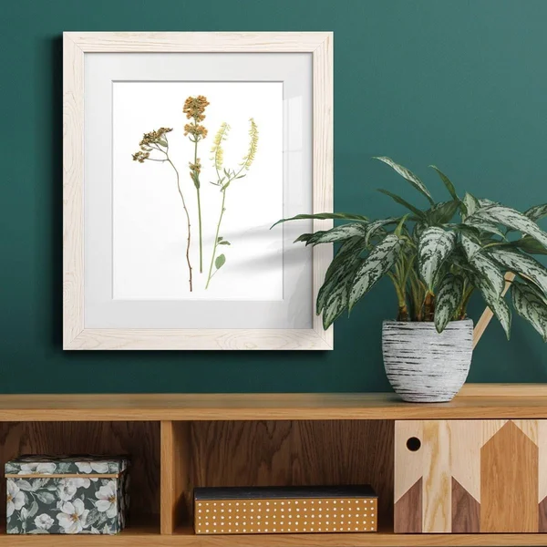 Pressed Botanical III-Premium Framed Print - Ready to Hang - 27.5X37.5 - White