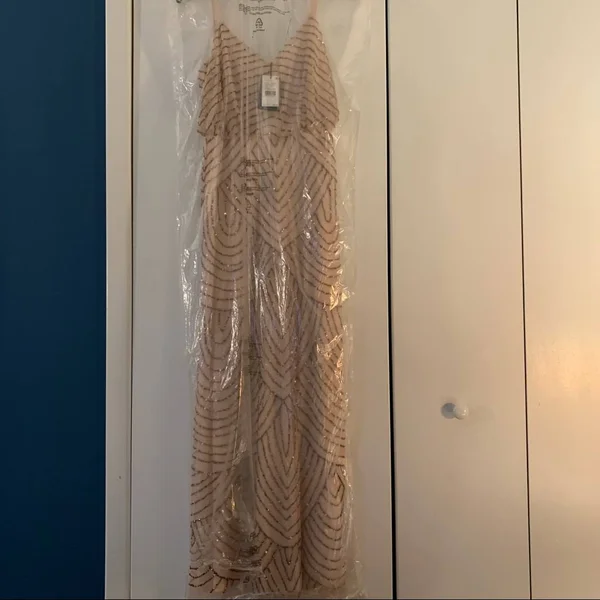 Adrianna Papell Petite Beaded Blouson Gown - Pink 2p