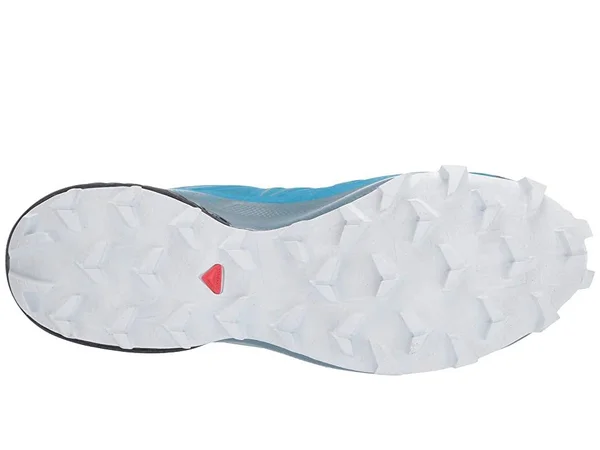 Salomon Men's Speedcross 5 Shoe - 13 - Fjord Blue - Navy Blazer, Illusion Blue
