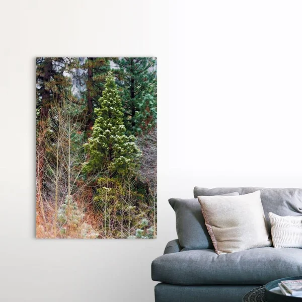 Mixed Forest in Winter - Yosemite Valley, Yosemite National Park, California, Canvas Wall Art, 40x60, Great Big Canvas