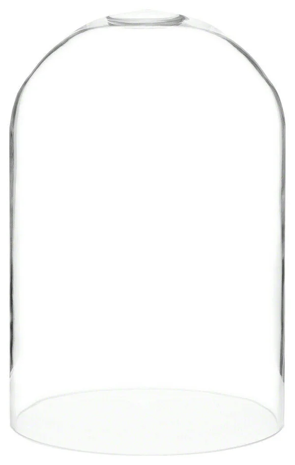 Plymor Brand 8x22 x 12x22 Glass Display Dome Cloche (No Base)
