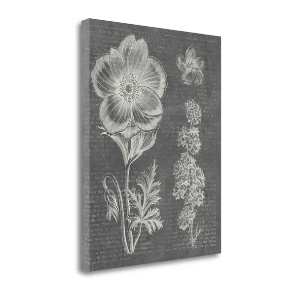 Tangletown Fine Art Eden Spring I Gray by Wild Apple Portfolio, Giclee Print, 26x22X32x22