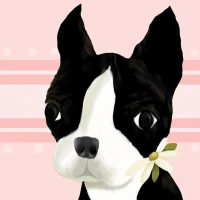 Oopsy Daisy BEA The Boston Terrier Canvas Art Size: 21x22 H x 21x22 W x 1.5x22 D, Color: Pink
