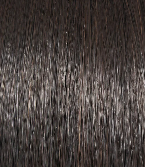 Raquel Welch Salsa Large Synthetic Wig, R13F25 Praline Foil