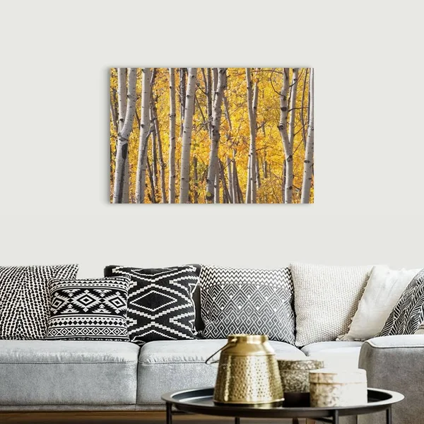 Aspen Trees in Autumn - Kananaskis Country, Alberta, Canada, Canvas Wall Art, 48x32, Great Big Canvas