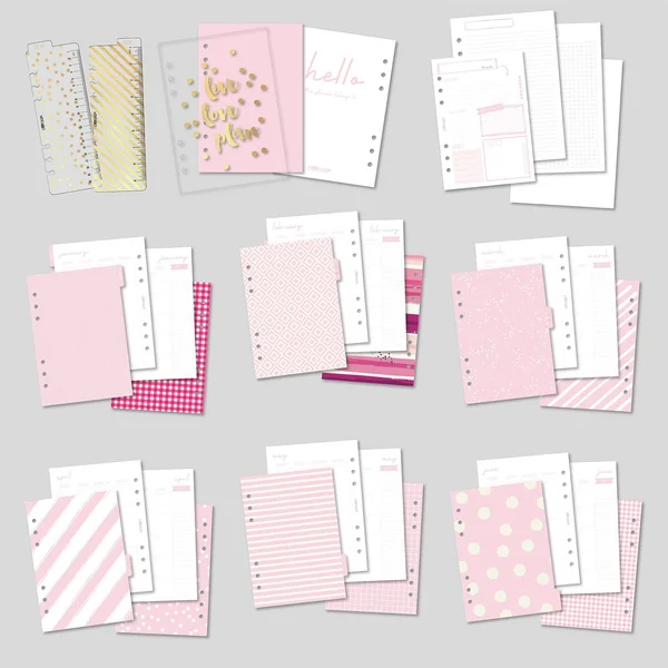 Carpe Diem A5 Planner-Ballerina Pink