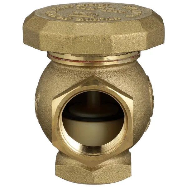 GoVets, Zurn Vacuum Breaker 1-1/2 in. FNPT x FNPT 112-35XL