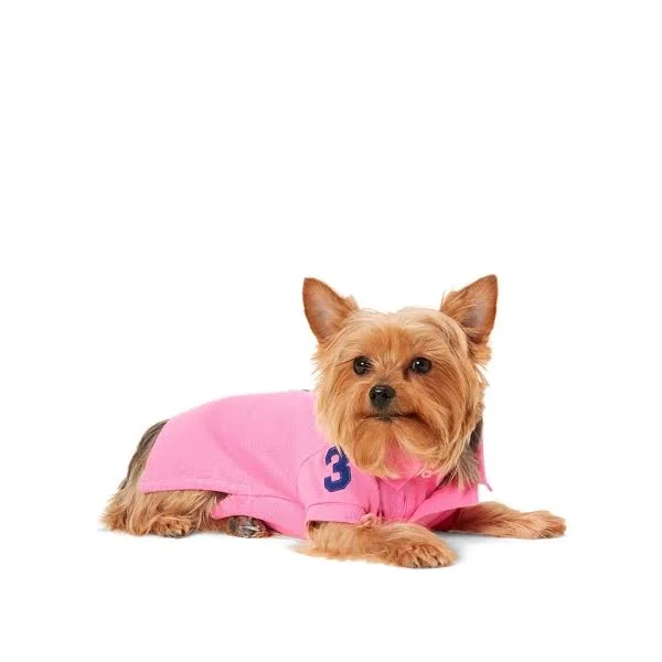 Ralph Lauren Big Pony Mesh Dog Polo Shirt - Size M in Baja Pink