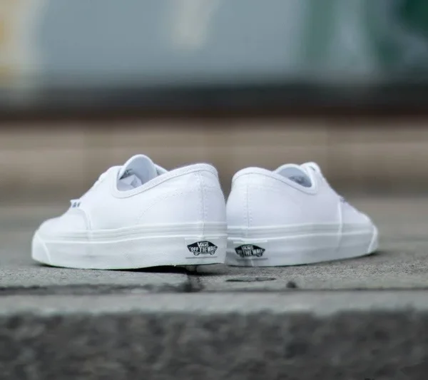 Vans Authentic Shoes - True White