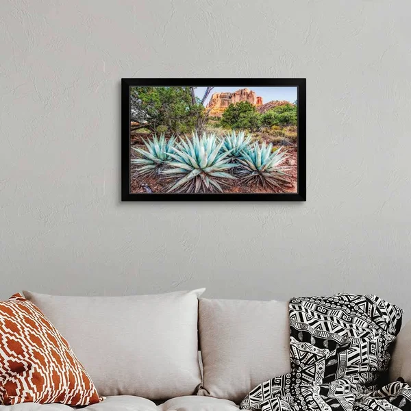 Agave Plants and Cathedral Rock, Sedona AZ, Black Framed Wall Art, 30x20, Great Big Canvas