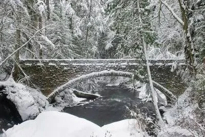 Framed Canvas Art - Whatcom Creek Bridge by Alan Majchrowicz ( places > North America > United States > Washington a
