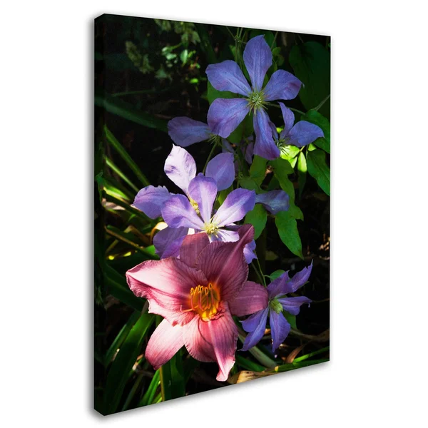 Trademark Global Kurt Shaffer 'Clematis and Lily' Canvas Art