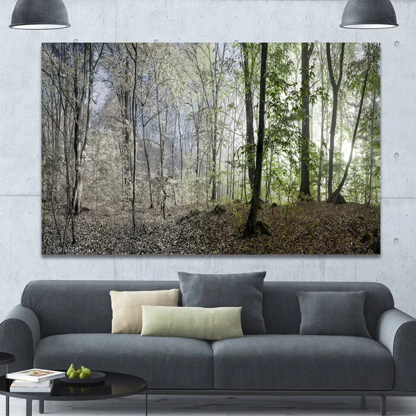 Designart &Green Morning in Forest Panorama& Landscape Large Canvas Art Print - Green - 40 in. Wide x 30 in. High