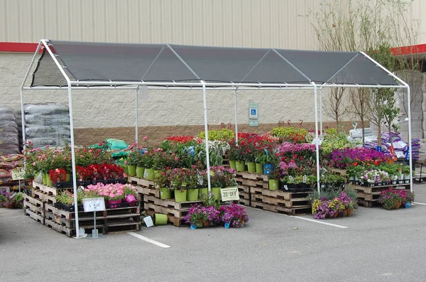 ShelterLogic Shade Canopy, 8 ft. x 20 ft.