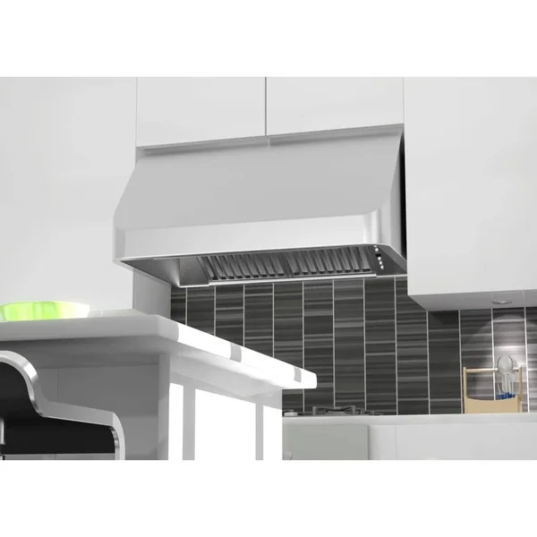 ZLINE 30in. 1200 CFM Outdoor Under Cabinet Range Hood (488-304-30)