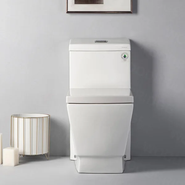 Woodbridge Modern 1-Piece 1.0/1.6 GPF High Efficiency Dual Flush Elongated All-In One Toilet with Soft Closed Seat Included Whit