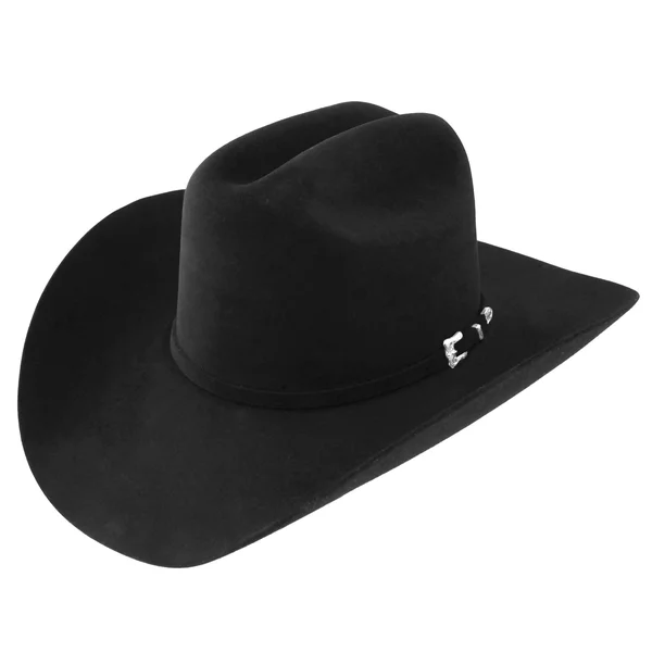 Resistol Black Gold 20X Premier Felt Cowboy Hat