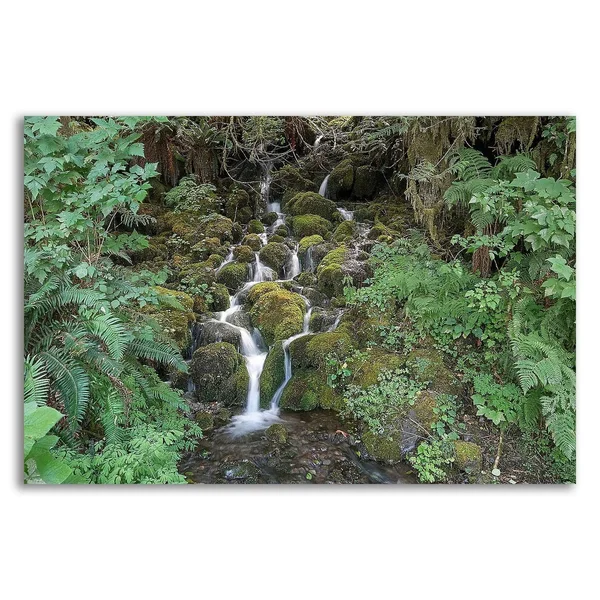 Tangletown Fine Art Fern Waterfall by Lynda White - Print on Canvas, Ready to Hang