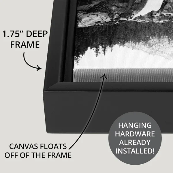 Fantasea Black Float Frame Canvas Art - 36 x 24