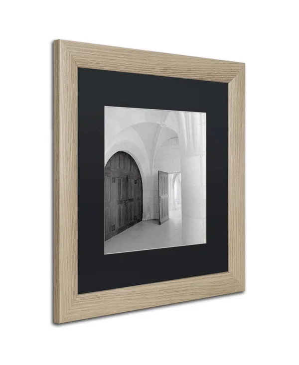 Trademark Art Alan Blaustein 'Amboise I' Black Matted Framed Art