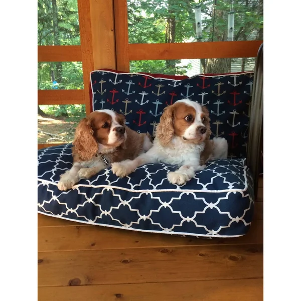 Snoozer Garden Gate Navy Rectangular Pet Bed - Large