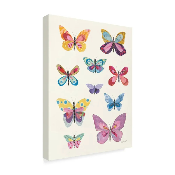 Trademark Fine Art Courtney Prahl Butterfly Charts II 35x47 Canvas Art, WAP09860-C3547GG