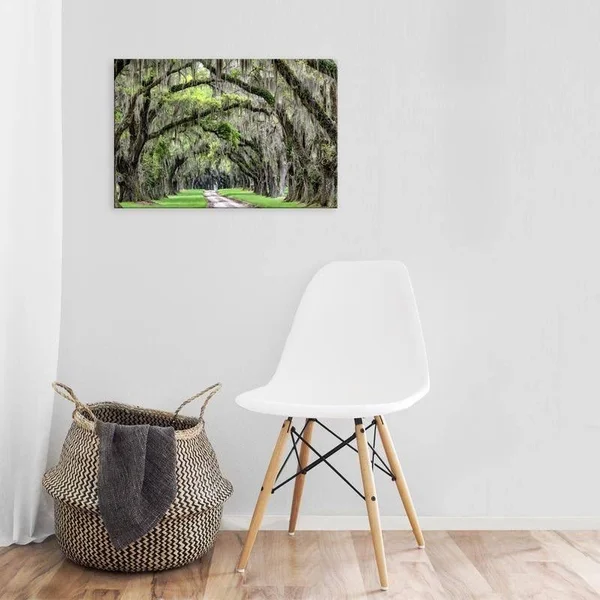 Easy Art Prints Daniel Burt's 'The Old South' Premium Canvas Art - 12 x 18 - Brazilian Barnwood Frame