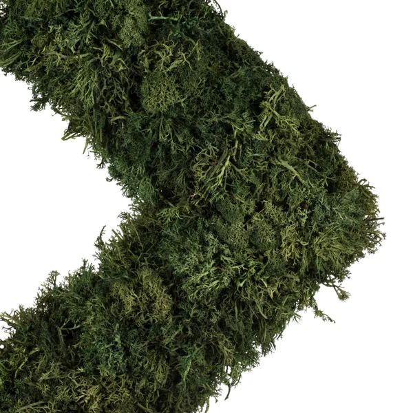Vickerman 15.5 Reindeer Moss Square-Dark Green
