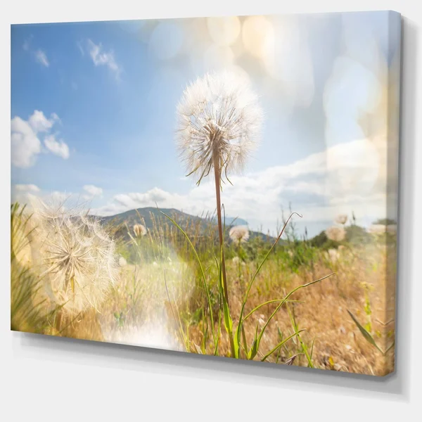 Design Art &Blooming Dandelion Under Bright Sky& Photographic Print on Wrapped Canvas, Size: 30 inch x 40 inch, White