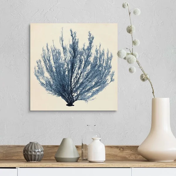 Coastal Seaweed III - Canvas Wall Art, 16x16, Great Big Canvas