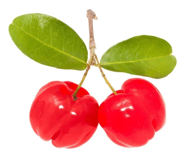 Acerola Cherry Powder - Organic Freeze Dried 22 lbs by Z Natural Foods
