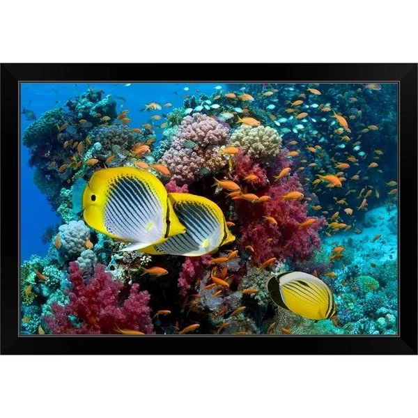 Coral Reef Scenery with Fish Black Framed Print - 30 x 20