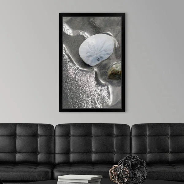 Sand Dollar - Black Framed Wall Art, 24x36, Great Big Canvas