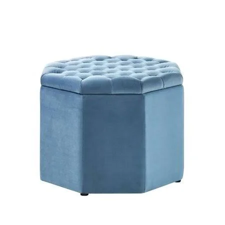 Protagoras Storage Ottoman One Allium Way Upholstery: Light Blue Velvet, Size: Medium