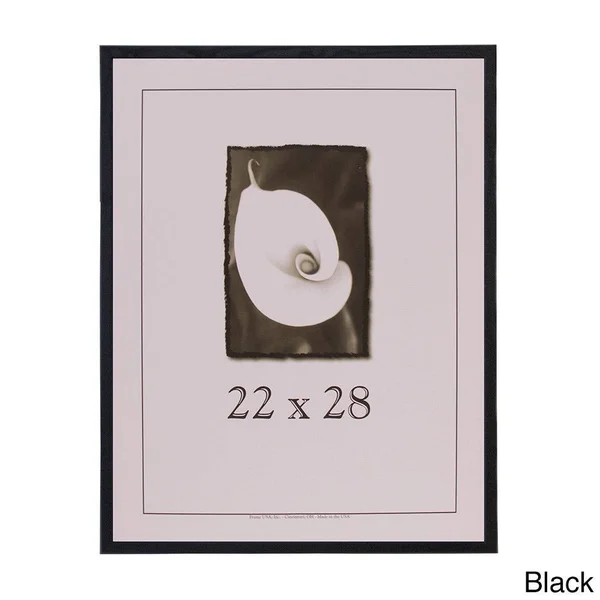 Frame USA Architect Picture Frame - Walnut 22041