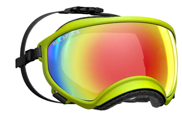 Rex Specs Dog Goggles - Hot Granny Smith - X-Small - 1 Clear & 1 Red Mirror Lens