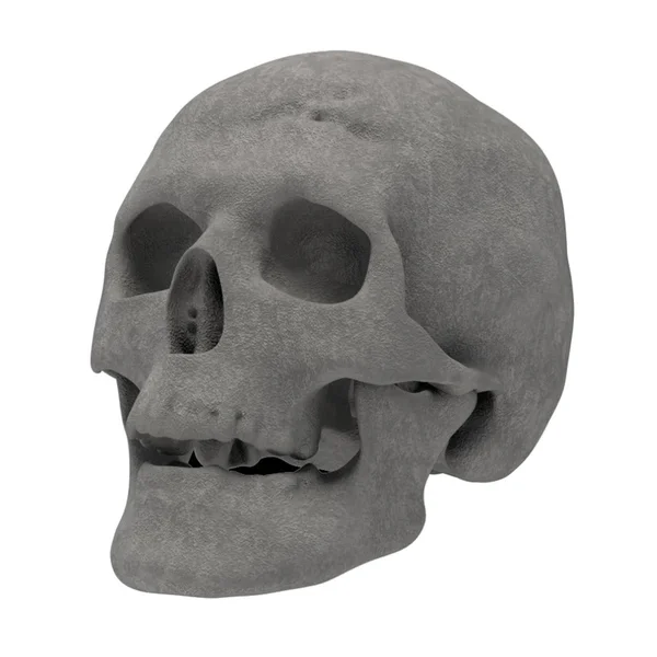 Regal Flame Human Skull Ceramic Wood Large GAS Fireplace Logs Logs for All Types