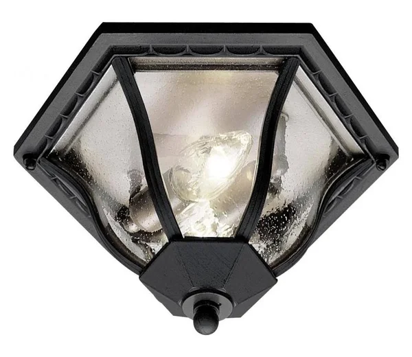 Trans Globe 4559BG Outdoor Flush Mount Light Black Gold 4559 BG