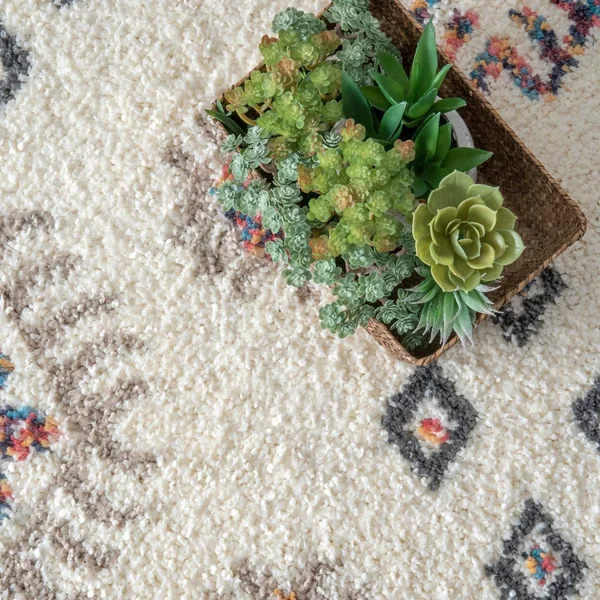 nuLOOM Cabrice Shag Area Rug - Size: 6& x 9&