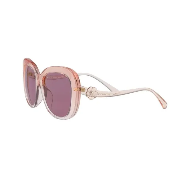 Coach Sunglasses HC8263U 55526G