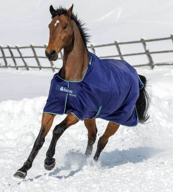 Bucas Smartex Medium Blue