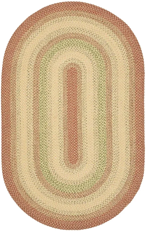 Safavieh Braided Rust/Multi 6 ft. x 6 ft. Round Area Rug