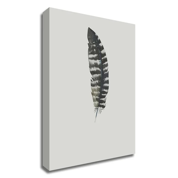 Tangletown Fine Art 21x22 x 15x22 Feather 05 by Incado Print on Canvas