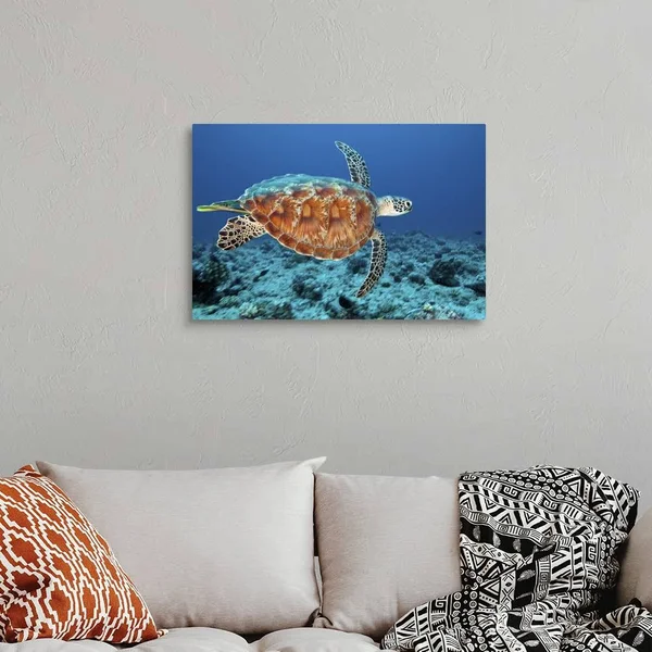Green Sea Turtle, Large Solid-Faced Canvas Wall Art Print, Great Big Canvas