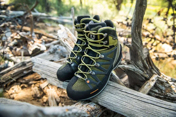 Crispi Thor II GTX Non-Insulated Hunting Boots - Olive, 8 Wide