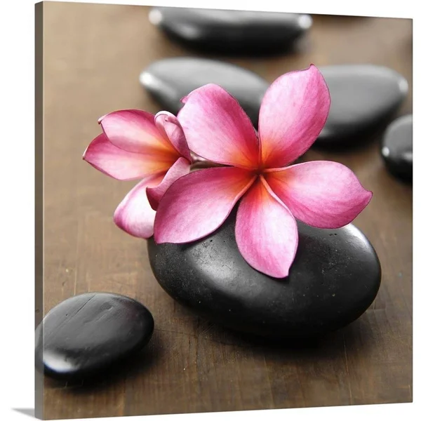 GreatBigCanvas Zen Pebbles by PhotoINC Studio 16-in H x 16-in W Abstract Print on Canvas, 2529284-24-16X16
