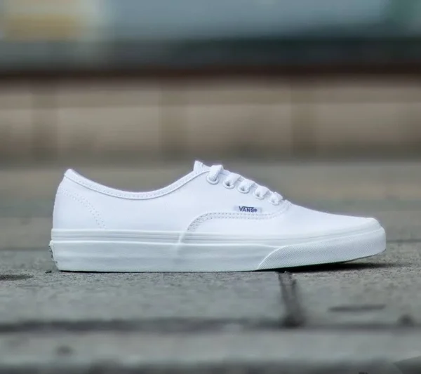 Vans Authentic Shoes - True White