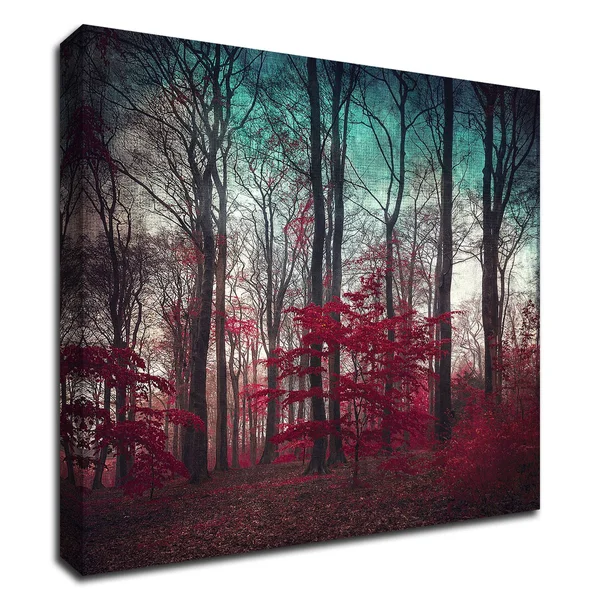 Tangletown Fine Art A Maze by Dirk Wustenhagen - Print on Canvas, Ready to Hang