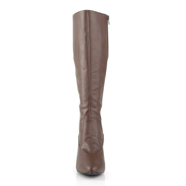 Pleaser Pink Label DIVINE-2018, 3x22 Knee Boot - Brown 12