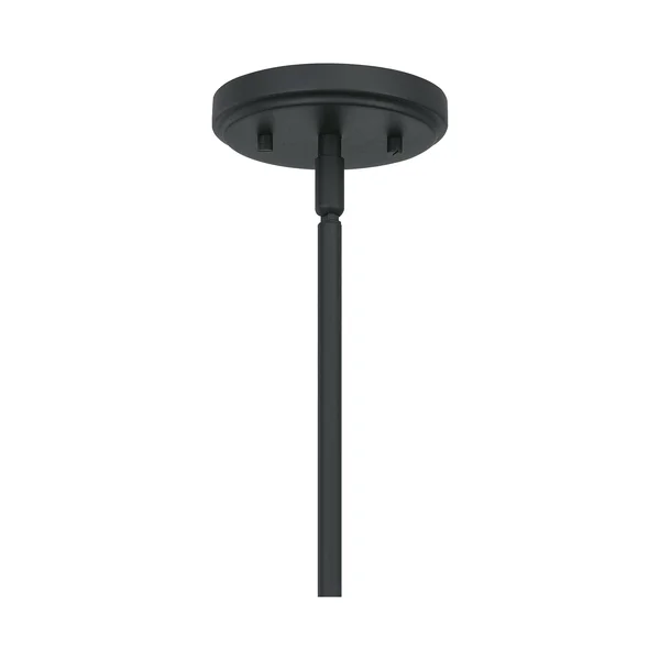 Quoizel Bimini 1-Light Earth Black Outdoor Hanging Lantern - BIM1908EK